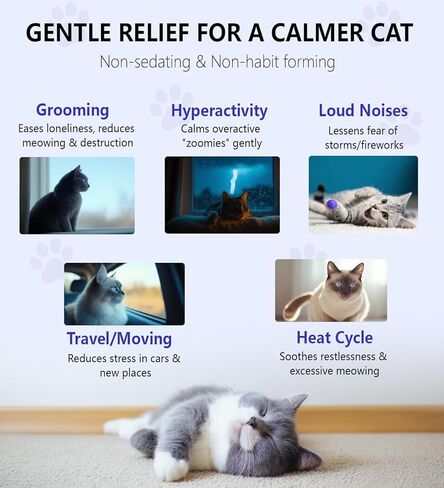 Calming Drops for Cats, Helps to Manage Stress & Anxiety, with Pheromones That May Help Curb Destructive Behavior & Separation Anxiety, Health Supplement for Cats, Sedative-Free, 2 floz in Kuwait