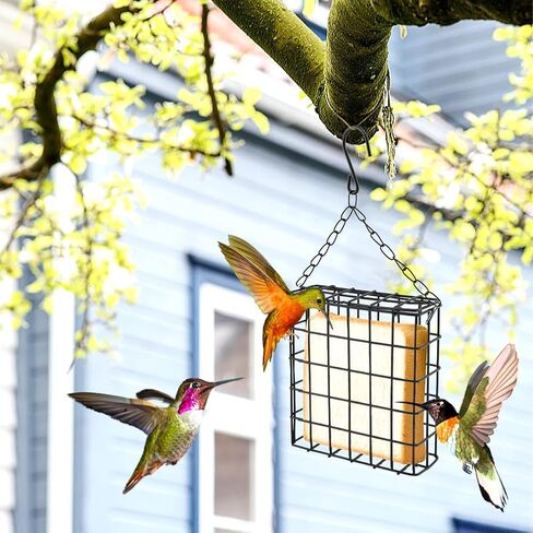2Pcs Outdoor Suet Cage Bird Feeder, Hanging Wild Bird Feeder with Single Suet Cake Capacity, Multi-Use for Suet/Oranges/Nesting in Kuwait