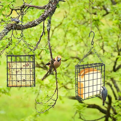 2Pcs Outdoor Suet Cage Bird Feeder, Hanging Wild Bird Feeder with Single Suet Cake Capacity, Multi-Use for Suet/Oranges/Nesting in Kuwait