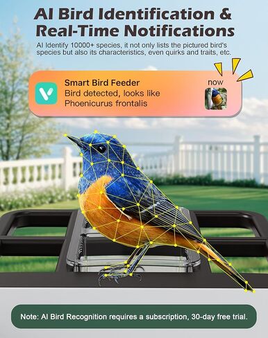 Smart Bird Feeder with Camera Solar Powered, 5MP 2.5K HD Live Video Birdhouse Camera, AI Identify, Instant Notify, Motion Detection, Cloud Storage, Color Night Vision, Ideal Gift for Bird Watching in Saudi Arabia
