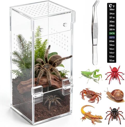 No Assembly 3mm Thick Acrylic Jumping Spider Enclosure,Magnetic Closure Front Door & 3-Side Ventilation, with Tweezers & Thermometer Strips,Ideal for Reptile Tank,Snail,Insect, and Tarantula Habitat in Saudi Arabia