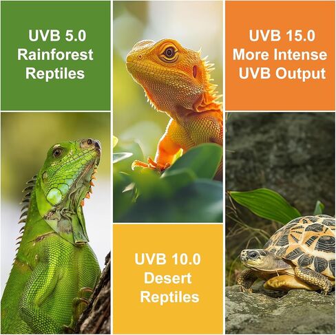 ضوء الزواحف UVB، 5.0 15 واط ضوء UVA UVB للزواحف، لمبة الفلورسنت المدمجة الحلزونية UVB للحرباء والسلحفاة والإغوانا والثعابين in Kuwait