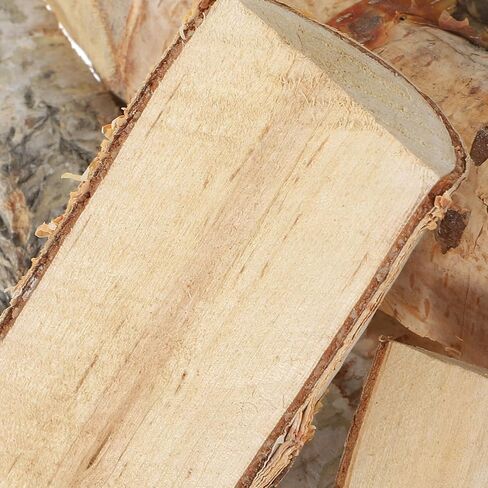 8 قطعة من العصي الحرفية الصغيرة مع نسيج خشبي صغير من اللحاء الطبيعي لحوض السمك Driftwood DIY المشاريع الحرفية زينة حفلة عيد الميلاد in Saudi Arabia