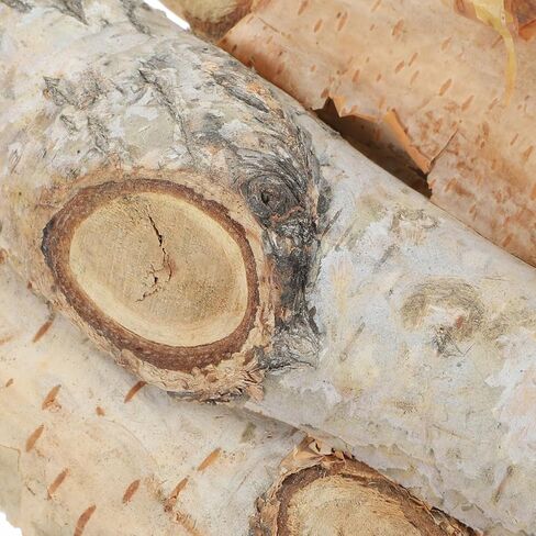 8 قطعة من العصي الحرفية الصغيرة مع نسيج خشبي صغير من اللحاء الطبيعي لحوض السمك Driftwood DIY المشاريع الحرفية زينة حفلة عيد الميلاد in Saudi Arabia