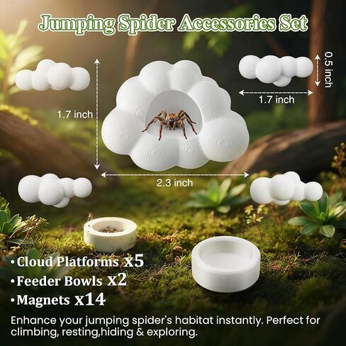 Jumping Spider Accessories Set with Magnetic Cloud Platforms & Feeder Bowls, Jumping Spider Enclosure Accessories for Climbing, Hiding & Feeding, 14 Pcs Magnets, Cute Spiders Habitat Decor in Saudi Arabia