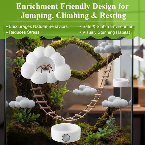 Jumping Spider Accessories Set with Magnetic Cloud Platforms & Feeder Bowls, Jumping Spider Enclosure Accessories for Climbing, Hiding & Feeding, 14 Pcs Magnets, Cute Spiders Habitat Decor in Saudi Arabia