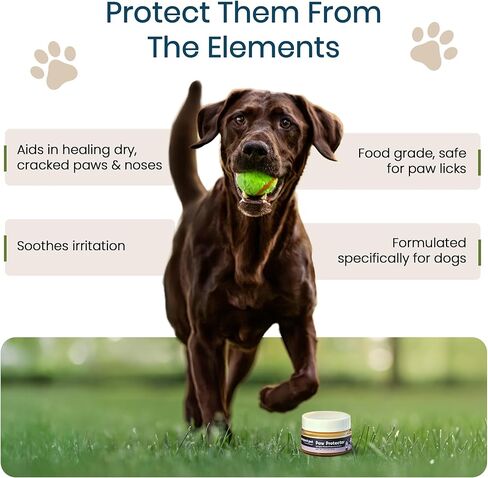 Paw Protector - Dog Paw Balm, Moisturizer & Soother for Dry, Cracked Pads and Noses with Shea Butter, Coconut Oil, Lick Safe, Beeswax-Free, Hot Pavement & Cold Weather Protection, 0.5 oz in Kuwait