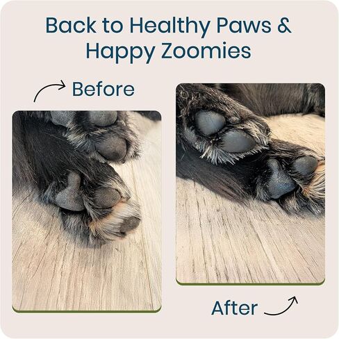 Paw Protector - Dog Paw Balm, Moisturizer & Soother for Dry, Cracked Pads and Noses with Shea Butter, Coconut Oil, Lick Safe, Beeswax-Free, Hot Pavement & Cold Weather Protection, 0.5 oz in Kuwait