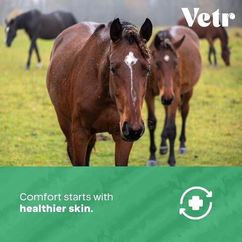 جل هيدروكورتيزون لتخفيف الجلد من vetr - دعم موضعي لحكة الجلد والبقع الساخنة - 4 أونصة (120 مل) - مركب بيطري في الولايات المتحدة الأمريكية in Kuwait