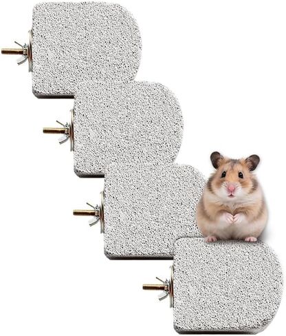 4 Pack Large Size Lava Ledge for Small Pets - Chinchilla, Hamster, Parrot - Grinding & Jumping Platform in Cyan in Kuwait