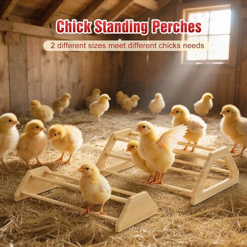 Pawaboo 7-in-1 Chicken Brooder Box for Chick Starter Kit, Includes Chicks Perches, Chicken Feeders, Chick Waterers, Chickens Feeding Spoon, Chicks Supplies (Brooder Set), Red + Wood Color in Saudi Arabia
