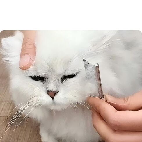 2-pack pet face comb with wooden handle, dog and cat tear comb, pet eye and facial beauty tool in Kuwait