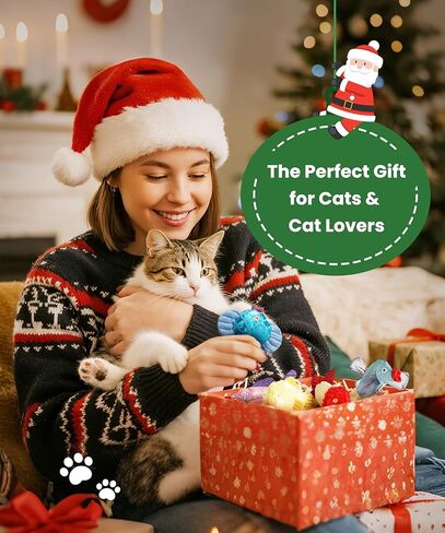 Nocciola Catnip Toys, 5 Pack Cat Toys for Indoor Cats with 100% Natural Catnip, Cotton-Free Kitten Toys in Assorted Colors, Soft Surface, Teething, Chewing & Kicker Floppy Fish Cat Toys in Saudi Arabia