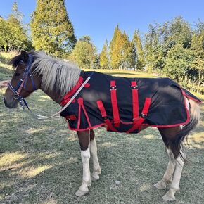Mini Horse Pony Foal Miniature Horses Turnout Blanket, Winter Blanket for Horses with Belly Wrap, Donkey Blanket, 1200 Denier Waterproof &Breathable/220g Filling (47IN) in Kuwait