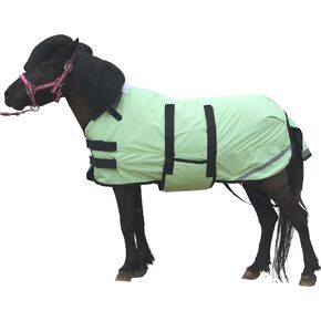 LEAFOREST 300 Denier سجادة المهر المقاومة للماء سجادة المهر سجادة الإقبال مصغرة حمار بطانية الشتاء (150 جرام الحشو) العشب الأخضر 42IN-48IN in Kuwait