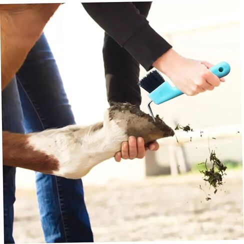 هوف بيك 2 قطعة فرشاة حصان بديلة محمولة على شكل حدوة حصان مع فتحة معلقة لتنظيف مستلزمات الحصان، اختيار حافر بلون عشوائي in Kuwait
