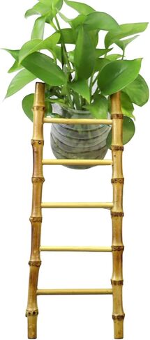 Snake Climbing Ladder Reptile Decor for Terrarium Exercise Enrichment for Ball Pythons Corn Snakes Lizards in Saudi Arabia