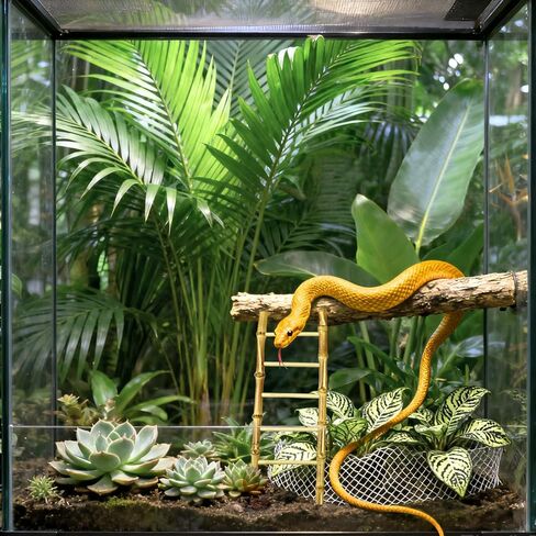 Snake Climbing Ladder Reptile Decor for Terrarium Exercise Enrichment for Ball Pythons Corn Snakes Lizards in Saudi Arabia