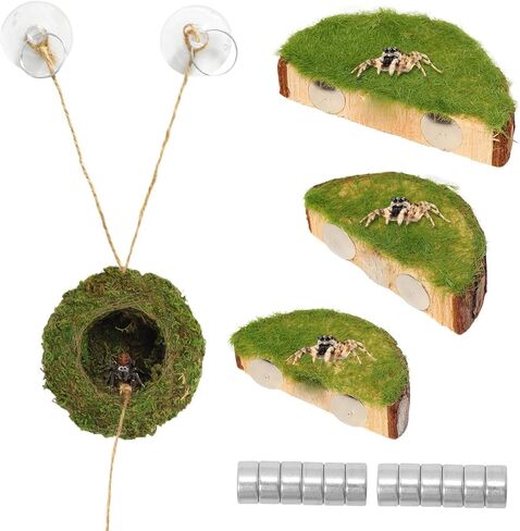 Jumping Spider Habitat Kit, Green Moss Hideout Cave and 3 Pcs Resting Feeding Platforms, Suction Cup Magnet Terrarium Decor for Jumping Spider Small Reptiles in Saudi Arabia