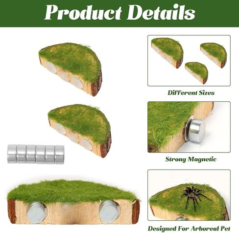 Jumping Spider Habitat Kit, Green Moss Hideout Cave and 3 Pcs Resting Feeding Platforms, Suction Cup Magnet Terrarium Decor for Jumping Spider Small Reptiles in Saudi Arabia