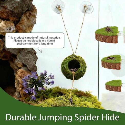 Jumping Spider Habitat Kit, Green Moss Hideout Cave and 3 Pcs Resting Feeding Platforms, Suction Cup Magnet Terrarium Decor for Jumping Spider Small Reptiles in Saudi Arabia