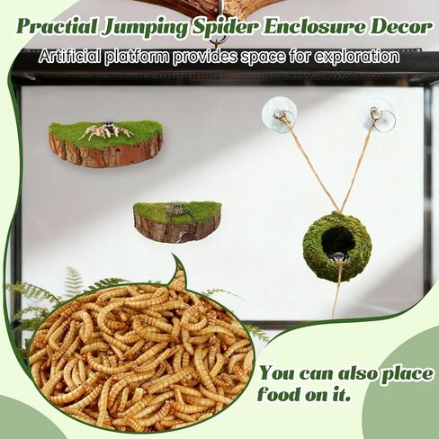 Jumping Spider Habitat Kit, Green Moss Hideout Cave and 3 Pcs Resting Feeding Platforms, Suction Cup Magnet Terrarium Decor for Jumping Spider Small Reptiles in Saudi Arabia