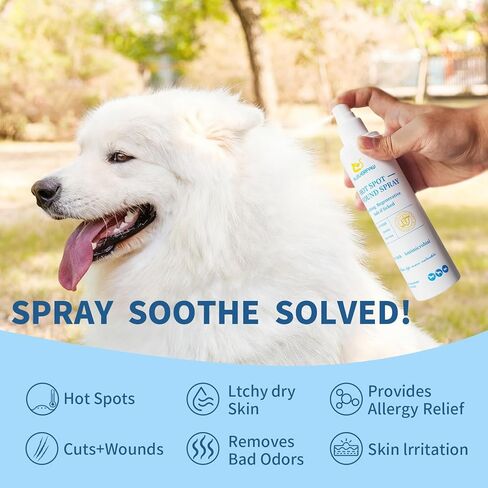 Hot Spot Treatment, Itch Relief Spray for Dogs and Cats. Relives Scratching, Sores, Rashes, Itchy Skin and Paw Licking, with Aloe and PHMB, 8 Fl Oz in Saudi Arabia