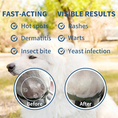 Hot Spot Treatment, Itch Relief Spray for Dogs and Cats. Relives Scratching, Sores, Rashes, Itchy Skin and Paw Licking, with Aloe and PHMB, 8 Fl Oz in Saudi Arabia