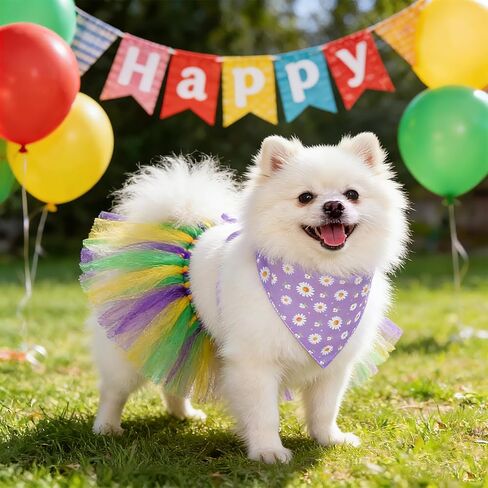 Hoyuwak Mardi Gras Dog Costume Set - Adjustable Tutu Skirt & Bandana for Small Medium Dogs, Carnival Party Outfit with Purple Green Gold Festive Design in Saudi Arabia