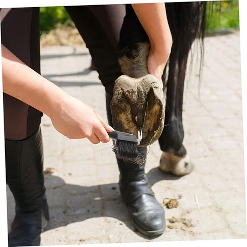 VANZACK 2pcs Horse Hoof Cleaning Brush Set Professional Hoof Pick with Plastic Handle Equestrian Tool for Grooming and Horseshoe Care Random Color in Saudi Arabia