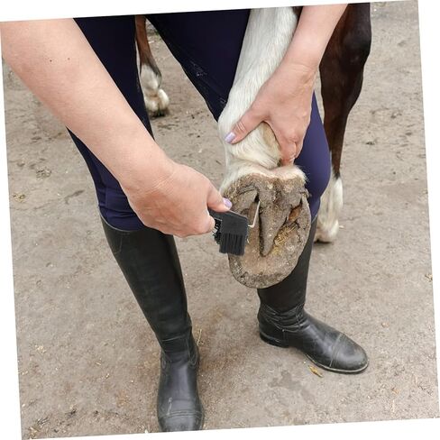 VANZACK 2pcs Horse Hoof Cleaning Brush Set Professional Hoof Pick with Plastic Handle Equestrian Tool for Grooming and Horseshoe Care Random Color in Saudi Arabia