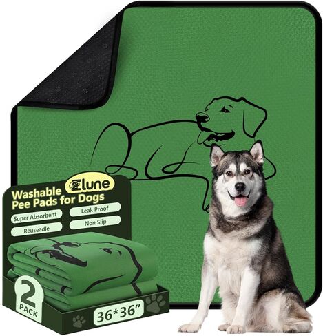 2 Pack Washable Pee Pads for Dogs 18"x24", Reusable Training Puppypads Absorbency Non-Slip & Leak-Proof for Pet Whelping Box Playpen Crate Sofa Bed Floors (Gray) in Kuwait