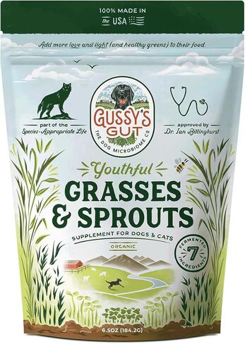 Gussy's Gut Youthful Grasses & Sprouts Dog Gut & Digestive Health Supplement- Human Grade Fermented Ingredients- Super Greens, Pre/Post & Probiotic All in One - Maintain Protocol in Saudi Arabia