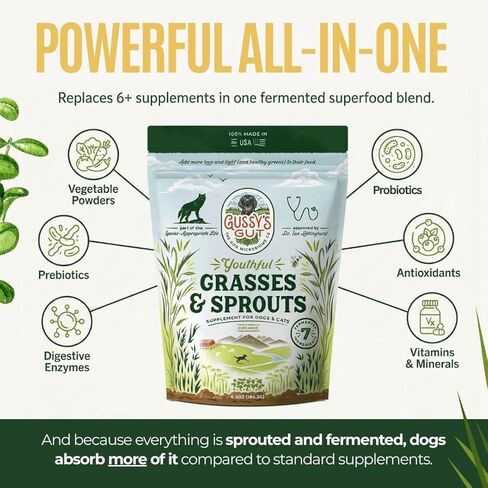 Gussy's Gut Youthful Grasses & Sprouts Dog Gut & Digestive Health Supplement- Human Grade Fermented Ingredients- Super Greens, Pre/Post & Probiotic All in One - Maintain Protocol in Saudi Arabia