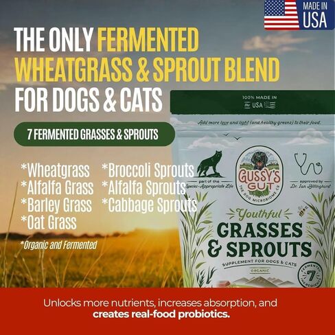 Gussy's Gut Youthful Grasses & Sprouts Dog Gut & Digestive Health Supplement- Human Grade Fermented Ingredients- Super Greens, Pre/Post & Probiotic All in One - Maintain Protocol in Saudi Arabia