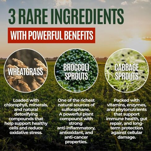 Gussy's Gut Youthful Grasses & Sprouts Dog Gut & Digestive Health Supplement- Human Grade Fermented Ingredients- Super Greens, Pre/Post & Probiotic All in One - Maintain Protocol in Saudi Arabia