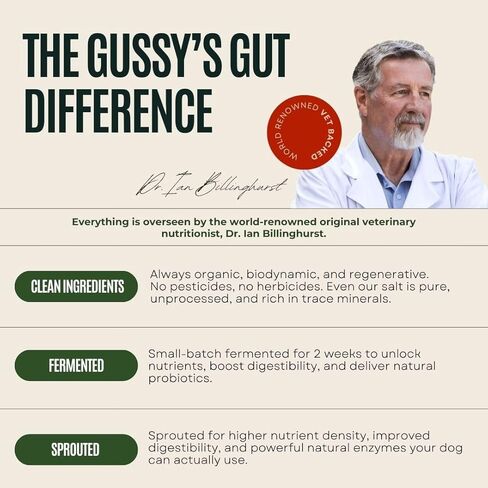 Gussy's Gut Youthful Grasses & Sprouts Dog Gut & Digestive Health Supplement- Human Grade Fermented Ingredients- Super Greens, Pre/Post & Probiotic All in One - Maintain Protocol in Saudi Arabia