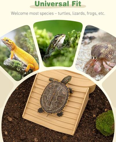 حمام سباحة للزواحف مع منحدر قابل للإزالة، طبق تغذية طبق الزواحف، طبق ماء السلحفاة، وعاء ماء مع خطوات، طبق نقع لحوض استحمام السلحفاة، طبق نقع لضفدع أبو بريص الأفعى والسحلية in Kuwait