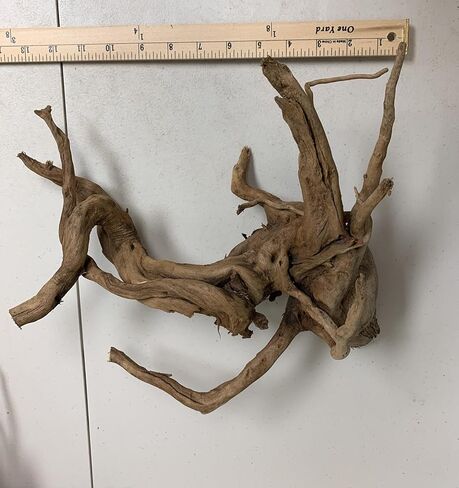 Marcus Fish Tanks 1 Spider Wood Driftwood Piece for Aquarium Natural Wood Drift Wood in Saudi Arabia