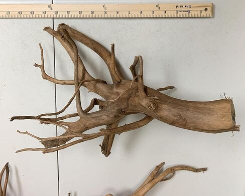 Marcus Fish Tanks 1 Spider Wood Driftwood Piece for Aquarium Natural Wood Drift Wood in Saudi Arabia