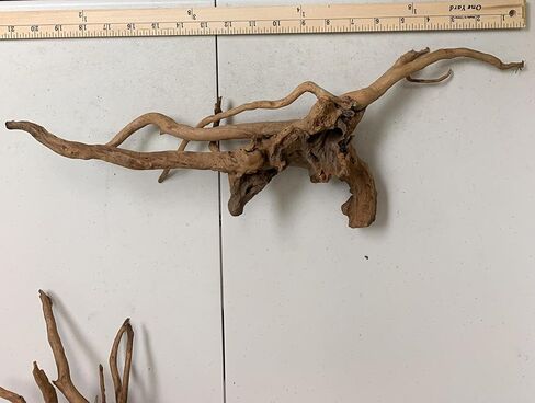 Marcus Fish Tanks 1 Spider Wood Driftwood Piece for Aquarium Natural Wood Drift Wood in Saudi Arabia