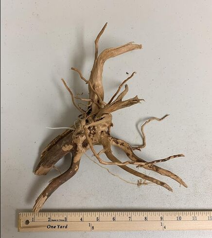 Marcus Fish Tanks 1 Spider Wood Driftwood Piece for Aquarium Natural Wood Drift Wood in Saudi Arabia