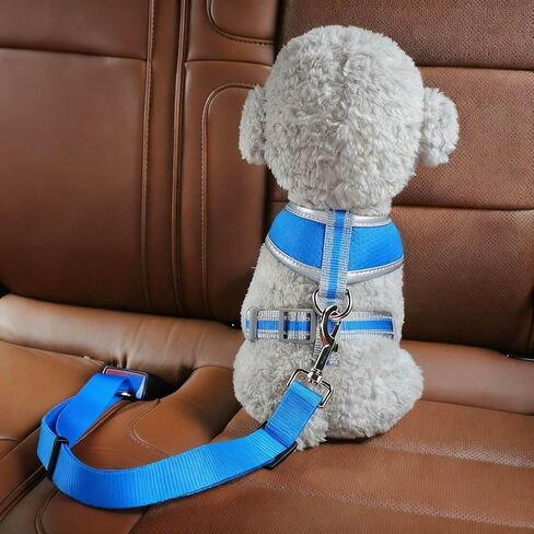 Universal Pet Safety Belt – Adjustable Dog Tether, Secure Buckle for All Vehicles - Blue in Saudi Arabia