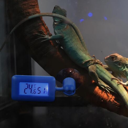 GARVALON Digital Reptile Thermometer with 360° Rotary Suction Cup, Mini Temperature and Humidity Meter for Bearded Dragon Tank and Terrarium Monitoring, Blue Glow Display for Home Use in Saudi Arabia