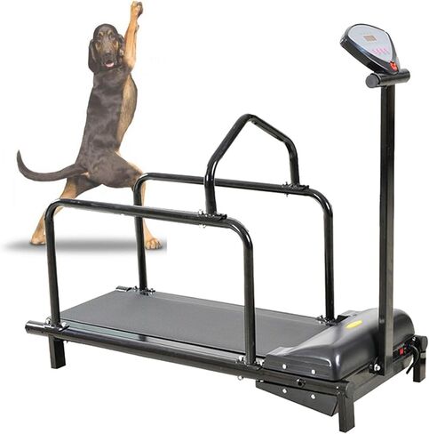 Dog TreadmillDog Treadmill for Large DogsPet Treadmill for Dogsfor Small and Large DogsCatsand Other Pets in Saudi Arabia