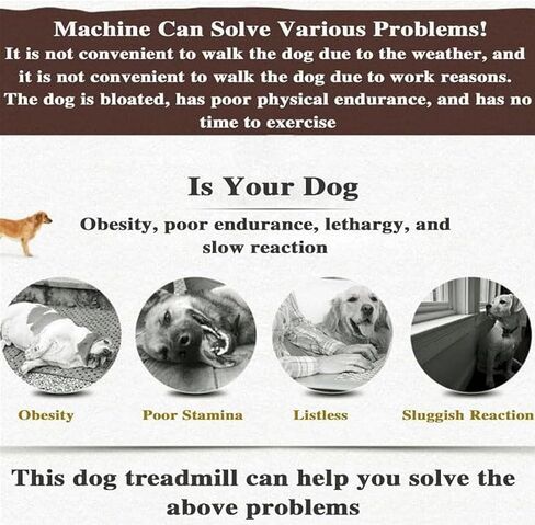 Dog TreadmillDog Treadmill for Large DogsPet Treadmill for Dogsfor Small and Large DogsCatsand Other Pets in Saudi Arabia