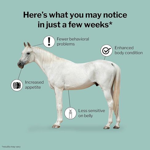 Formula 707 ULZERless Equine Supplement, 15 lb Bag - Natural Gut Support for Horses with Ulcer Risk Factors in Kuwait