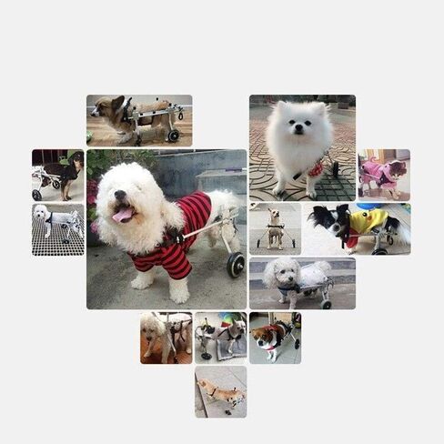 Dog Wheelchair, Pet Hind Leg Rehabilitation Disabled Dog Assisted Walking Two-Wheeled Adjustable Wheelchair for Adult Cats, Small Dogs, Pomeranian Chihuahuas (Xs Widening) in Saudi Arabia