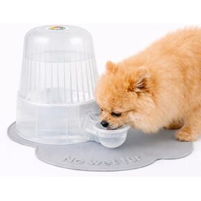 Pet Water Dispenser for Dogs and Cats, 67.6 oz – Gravity-Fed Water Bowl for Clean Drinking, Prevents Wet Fur, BPA-Free Polypropylene, (Clear) in Kuwait