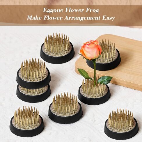 PercyEffie 8Pcs Flower Frog Round Brass Flower Arrangement Holder 1.34In Floral pins Floral Frog for Arrangements vase Frogs stem Holders Pin Holder for Ikebana Home Decoration Supplies Mini Plant in Kuwait